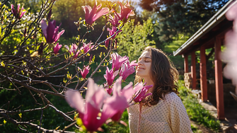 Кралица на пролетта: Най-важното, което трябва да знаем за отглеждането на красивата магнолия