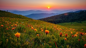 Пролетта носи съдбовни изненади на тези 4 зодии