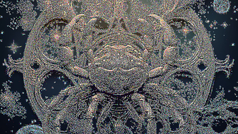 Рак: Седмичен хороскоп 25-31 август