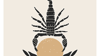 Скорпион: Седмичен хороскоп 24-30 ноември