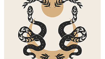 Близнаци: Седмичен хороскоп 24-30 ноември