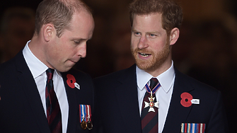 Камъкът на раздора: Уилям и Хари се скарали заради пръстен на принцеса Даяна?