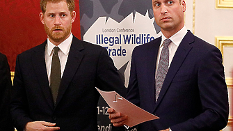 Камъкът на раздора: Уилям и Хари се скарали заради пръстен на принцеса Даяна?