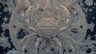 Рак: Седмичен хороскоп 10-16 ноември