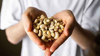 8 богати на цинк храни, които са истински щит за имунитета през грипния сезон