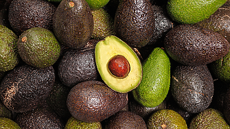 Различните видове авокадо и техните вкусове