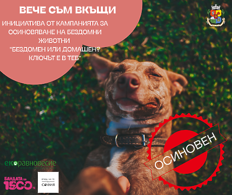 „Вече съм вкъщи“ – новата инициатива от кампанията „БезДОМен или ДОМашен? Ключът е в теб!“