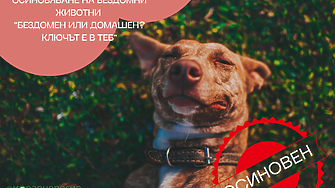 „Вече съм вкъщи“ – новата инициатива от кампанията „БезДОМен или ДОМашен? Ключът е в теб!“