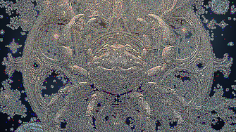 Рак: Седмичен хороскоп 22-28 декември