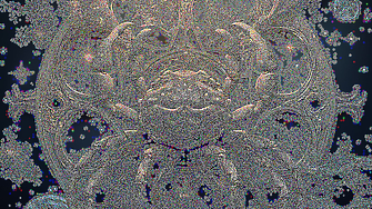 Рак: Седмичен хороскоп 19-23 януари