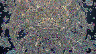 Рак: Седмичен хороскоп 16-22 февруари