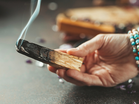 Тайната на Пало Санто: Как едно дърво може да промени енергията ти?