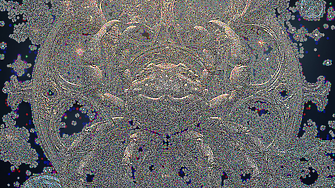 Рак: Седмичен хороскоп 16-22 март