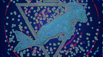 Козирог: Седмичен хороскоп 23-29 март