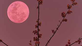 Пълнолунието във Везни носи напрежение и драма: от какво трябва да се пази всяка зодия 