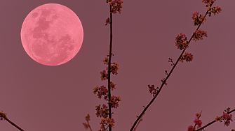 Пълнолунието във Везни носи напрежение и драма: от какво трябва да се пази всяка зодия 