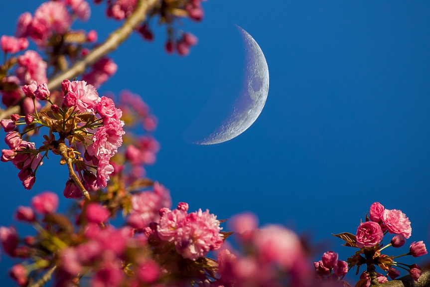 Новолунието в Риби носи свежо ново начало и неочаквани перспективи: какво да очаква всяка зодия