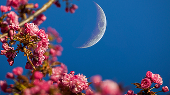 Новолунието в Риби носи свежо ново начало и неочаквани перспективи: какво да очаква всяка зодия