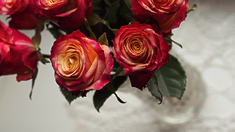 Тест: Избери си цвете и разбери какво привлича хората в теб