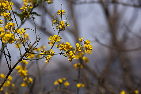 Най-успешните дни през АПРИЛ 2026 