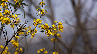 Най-успешните дни през АПРИЛ 2026 