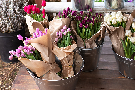 ТЕСТ: Избери си картинка и разбери каква е твоята пролетна енергия