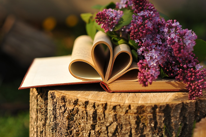 Modernity Book Club: 7 книги, които да прочетеш през май