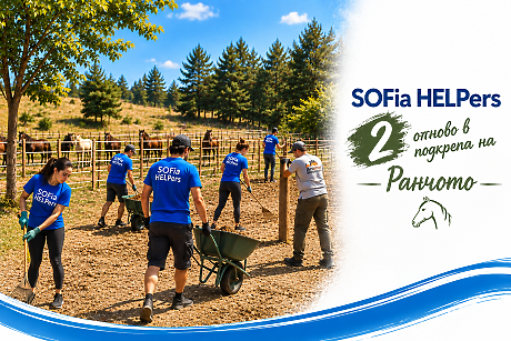 SOFia HELPers отново в подкрепа на Ранчото 