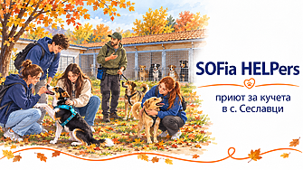 Ученици от Немската гимназия и доброволци от SOFia HELPers посетиха приюта за кучета в с. Сеславци
